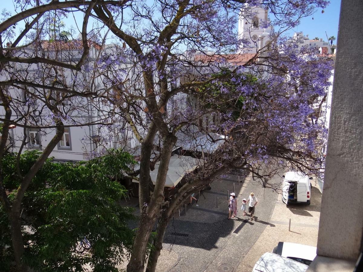 One-Bedroom Apartment Street View