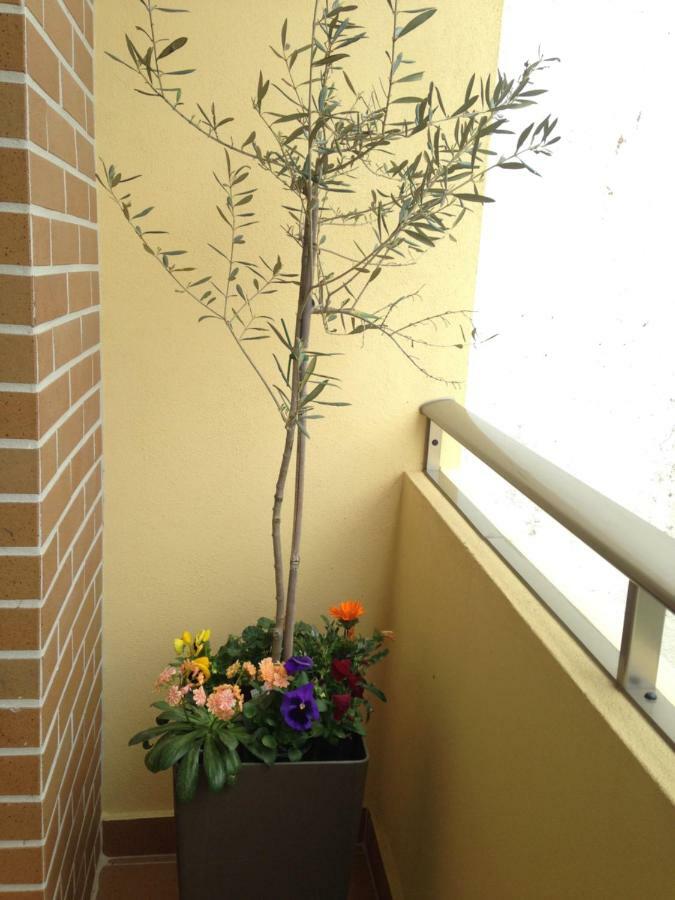 Apartment Balcony
