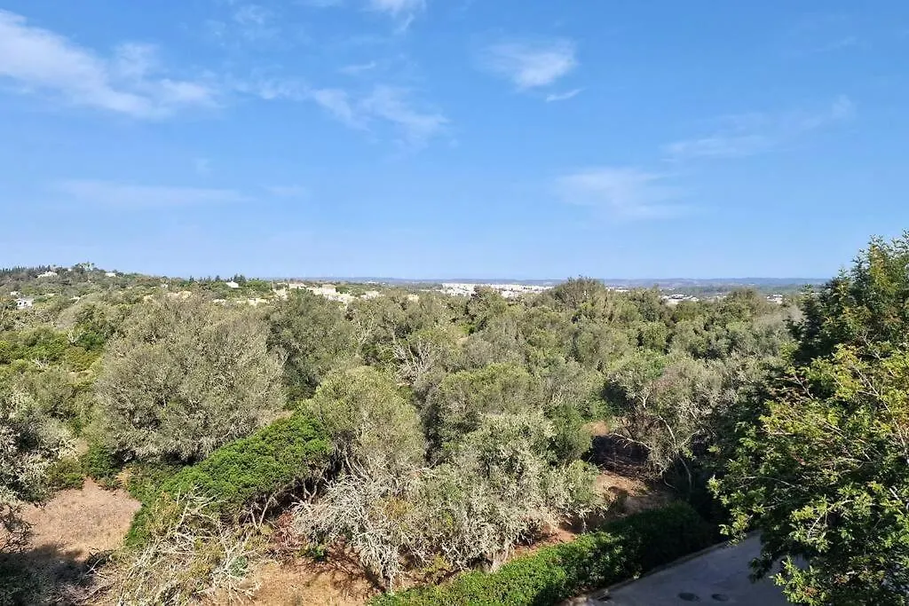 Spacious 3 Bedroom Apartment With Seaview-1