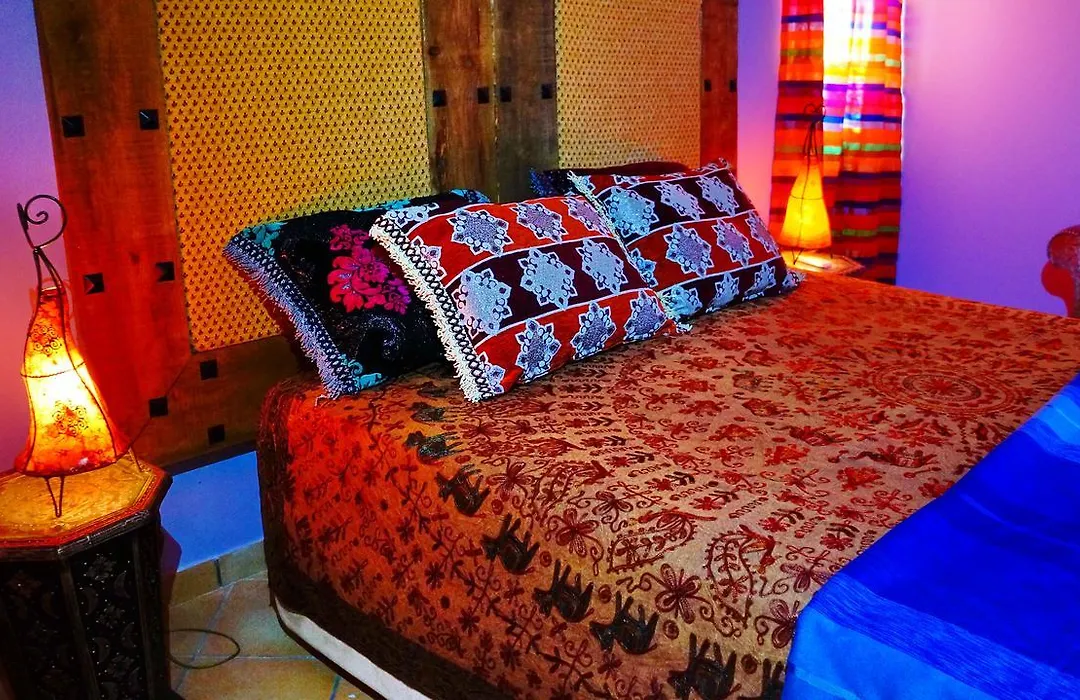 Inn Seventies Cheap & Chic Two-1