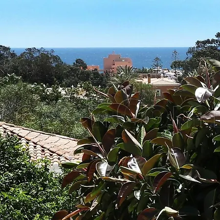 CASA BEACHCOMBER Le jardin des Arts-2