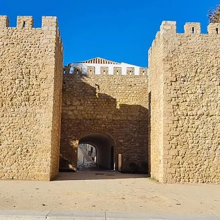 Donana 91-3